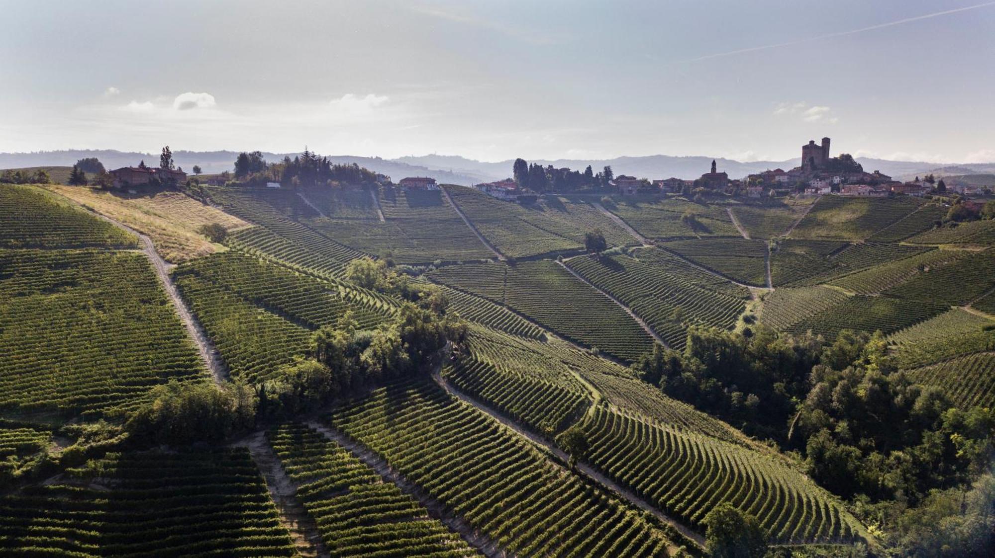 Villaggio Narrante - Le Case dei Conti Mirafiore Serralunga d'Alba Esterno foto