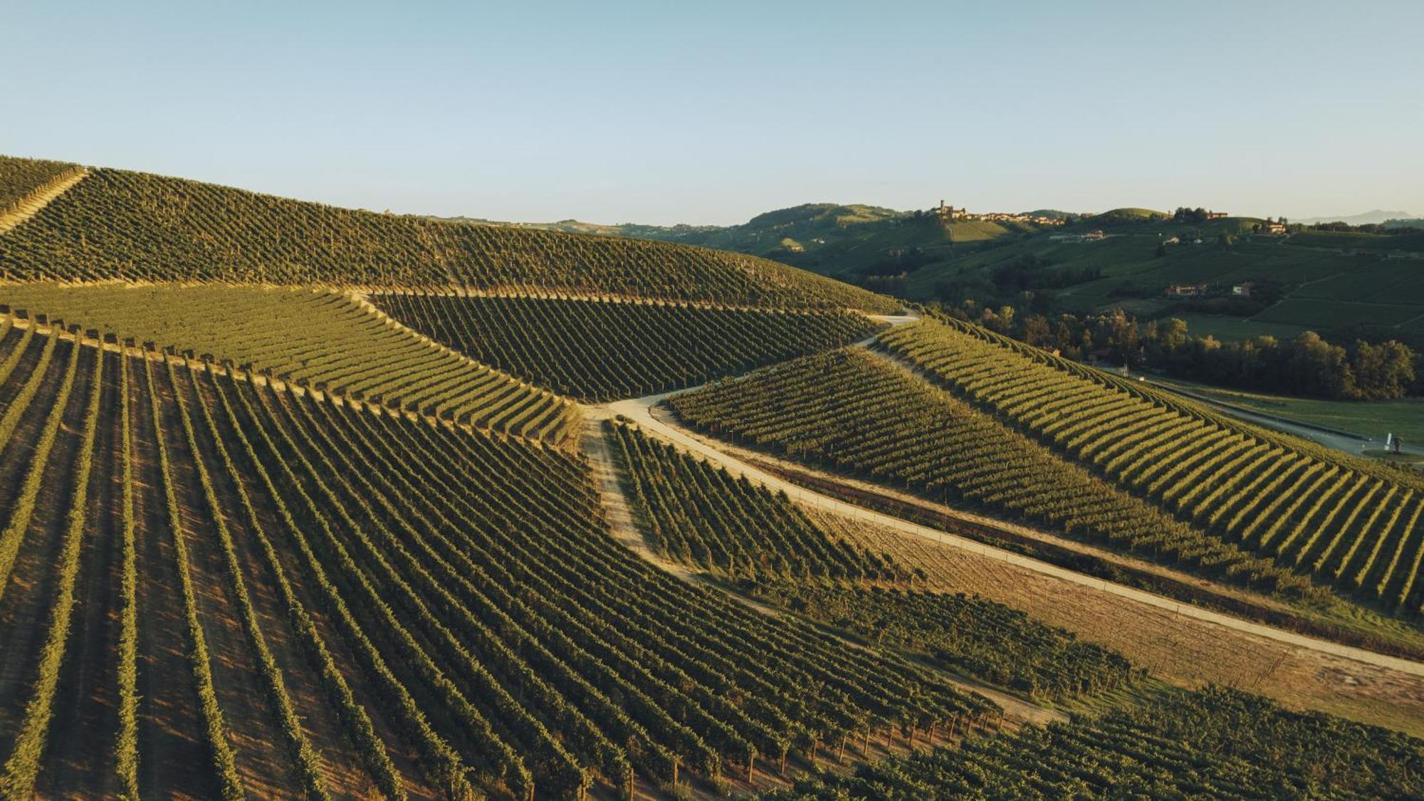 Villaggio Narrante - Le Case dei Conti Mirafiore Serralunga d'Alba Esterno foto